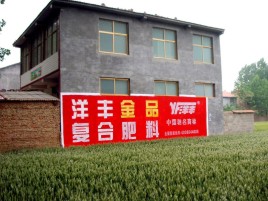  凤冈如何让墙体广告展现最大化效果