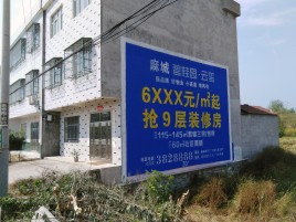  凤冈墙体广告质量分析