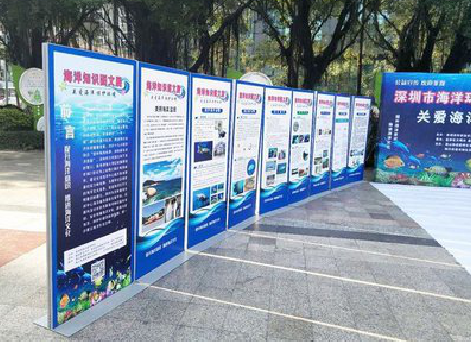  凤冈KT板的种类和知识。